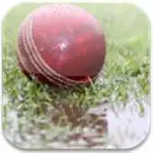 Free play online DL Calculator for Cricket APK
