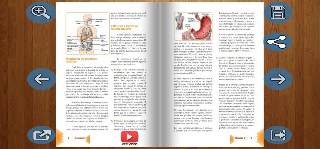 Play DMI Ciencias 9 as an online game online DMI Ciencias 9 with UptoPlay Play DMI Ciencias 9 as an online game DMI Ciencias 9 with UptoPlay