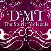 Free play online DMT The Spirit Molecule APK