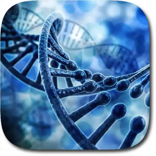 Play DNA 3D Live Wallpaper APK
