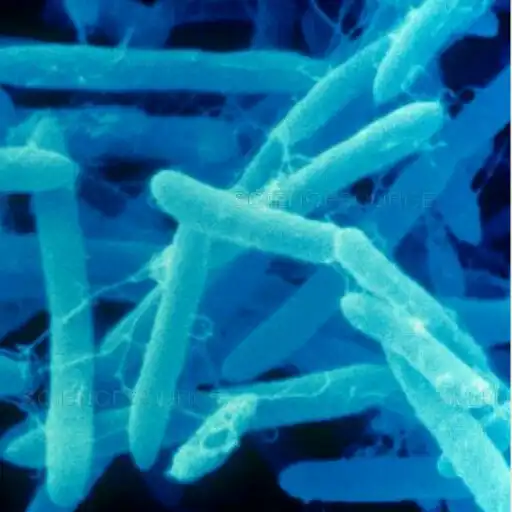 Play DNA Bar Coding APK Play DNA Bar Coding APK