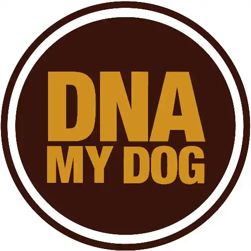 Play DNA My Dog APK