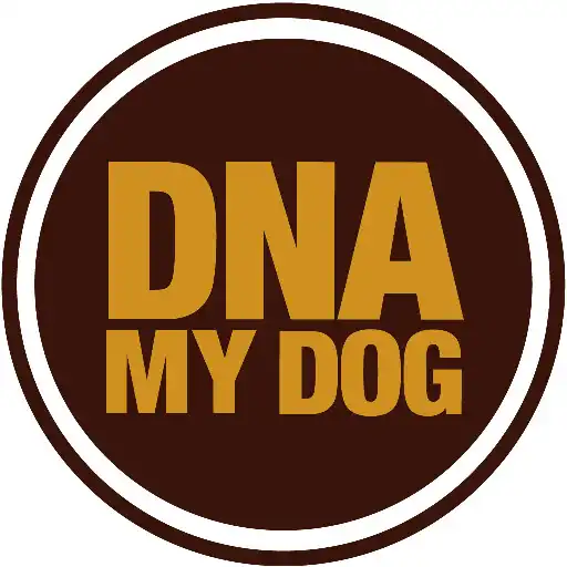 Play DNA My Dog APK Play DNA My Dog APK