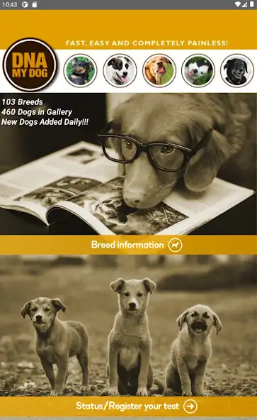 Play DNA My Dog as an online game DNA My Dog with UptoPlay