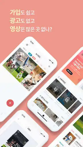 Play DND Life Care  and enjoy DND Life Care with UptoPlay