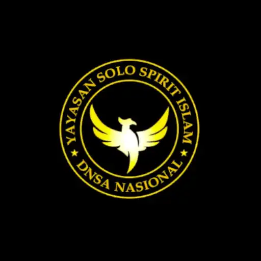 Play DNSA Solo Spirit Islam APK