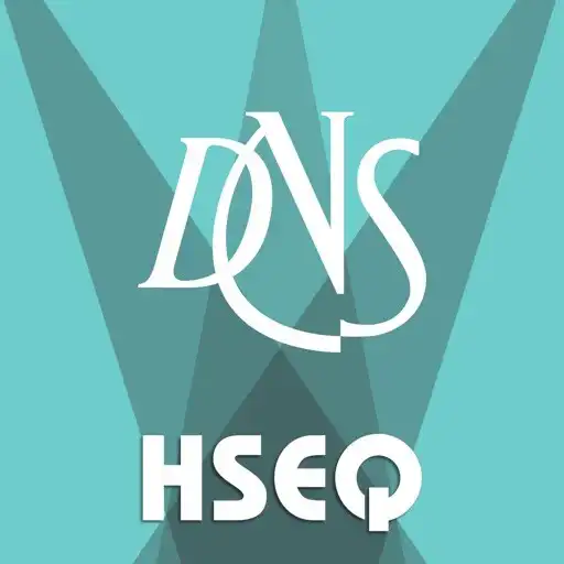Play DNS HSEQ APK