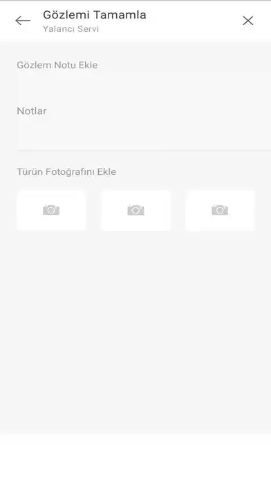 Play Doğa Kaşifi as an online game Doğa Kaşifi with UptoPlay