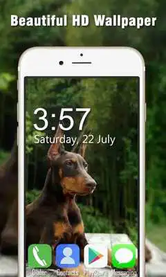 Play Doberman Live Wallpapers HD