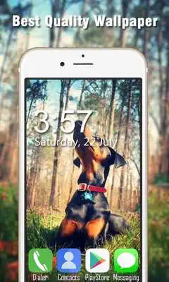 Play Doberman Live Wallpapers HD