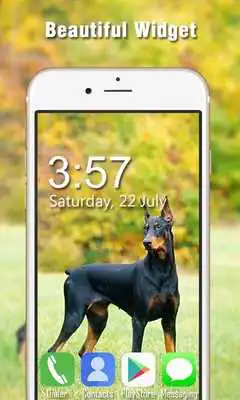 Play Doberman Live Wallpapers HD