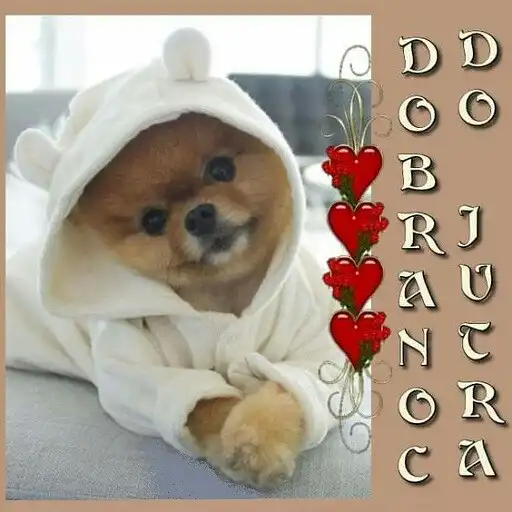 Play Dobranoc Obrazy APK