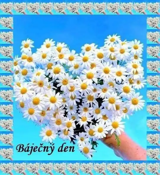 Play Dobré ráno Krásný den  and enjoy Dobré ráno Krásný den with UptoPlay