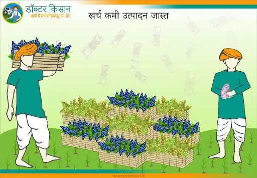 Play Doctor Kisan as an online game Doctor Kisan with UptoPlay