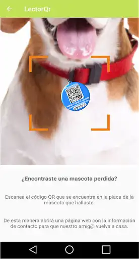 Play Doctor Mascota as an online game online Doctor Mascota with UptoPlay Play Doctor Mascota as an online game Doctor Mascota with UptoPlay