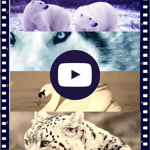 Play Documentaires Animaux Gratuit en ligne APK