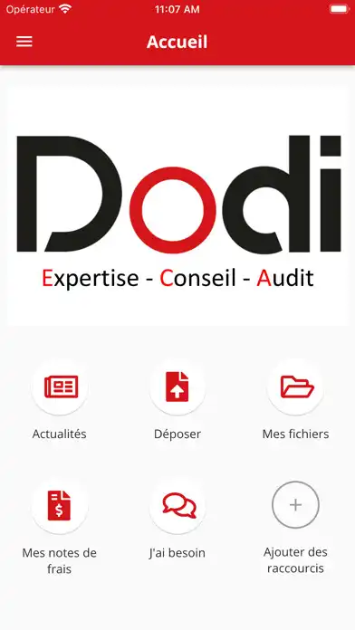 Play DODI EXPERTISE as an online game DODI EXPERTISE with UptoPlay