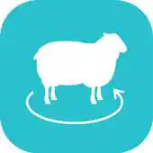 Free play online DOES VR APK