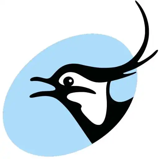 Play DOFbasen Mobil APK