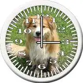 Free play online Dog 7 Collie Analog Clock APK