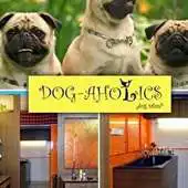 Free play online Dogaholics APK Free play online Dogaholics APK