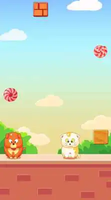 Play Dog and Cat : eat Candy