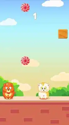 Play Dog and Cat : eat Candy