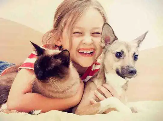 Play Dog And Cat Wallpapers