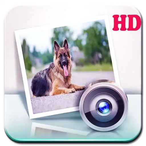 Play dog and puppies wallpaper APK Play dog and puppies wallpaper APK