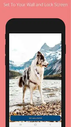 Play Dog and Puppies WallPapers as an online game Dog and Puppies WallPapers with UptoPlay