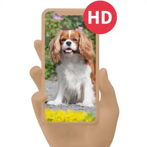 Play Dog and Puppy Wallpaper APK