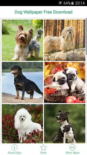 Play Dog and Puppy Wallpaper as an online game Dog and Puppy Wallpaper with UptoPlay