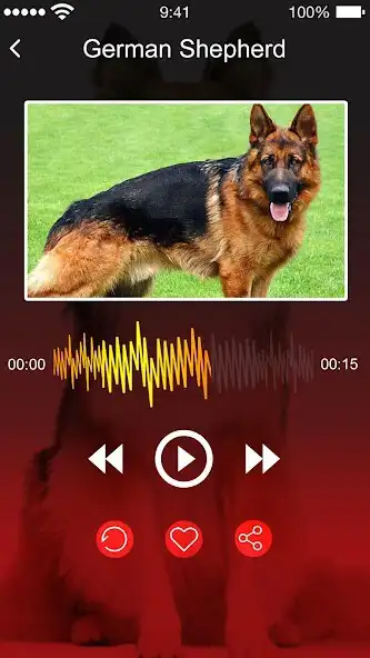 Play Dog Barking Sounds and Noises as an online game Dog Barking Sounds and Noises with UptoPlay