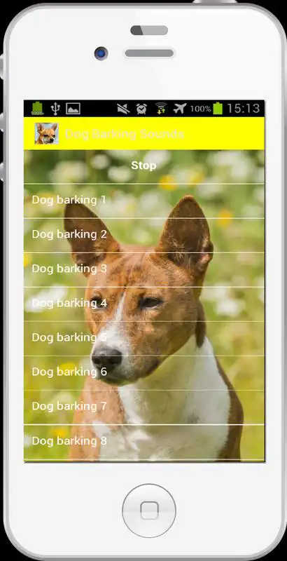 Play Dog Barking Sounds