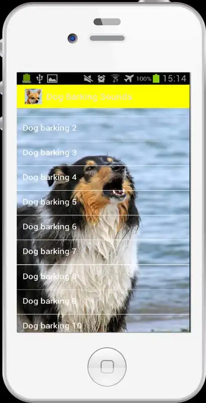 Play Dog Barking Sounds