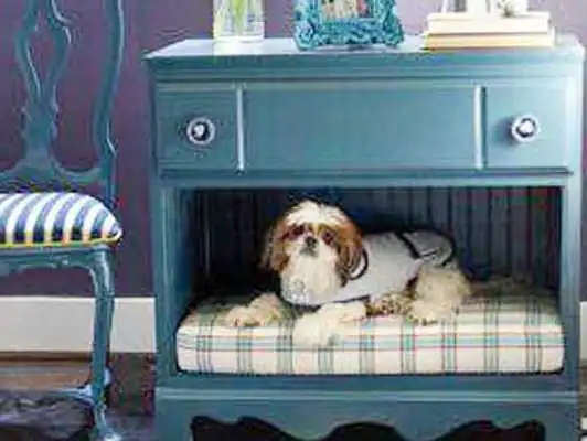 Play Dog Bed Design Ideas