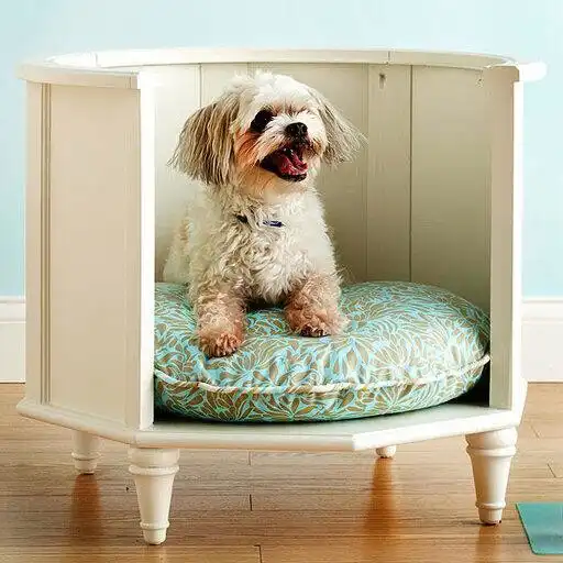 Play Dog Bed APK Play Dog Bed APK