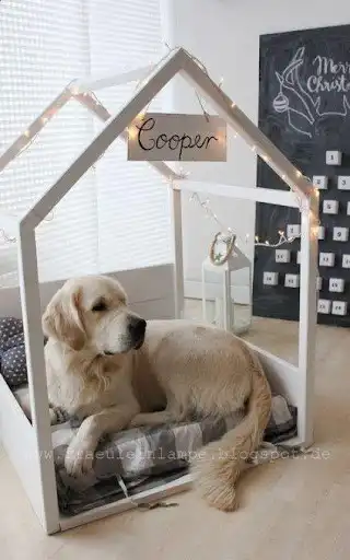 Play Dog Bed  and enjoy Dog Bed with UptoPlay
