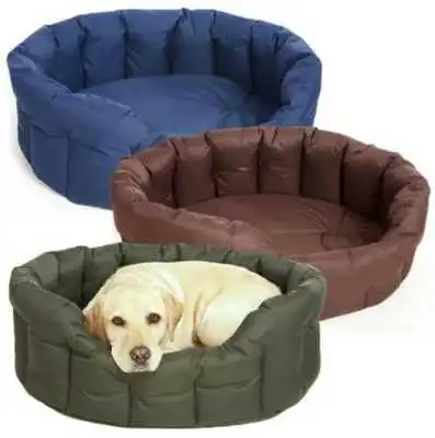 Play Dog Beds Wallpaper