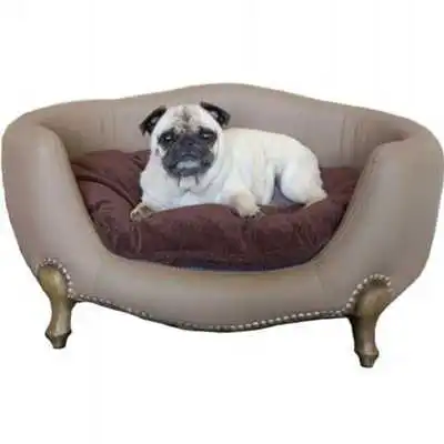 Play Dog Beds Wallpaper