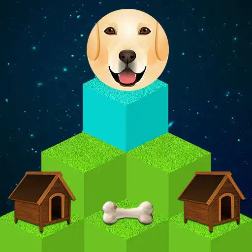 Play Dog Block Run APK