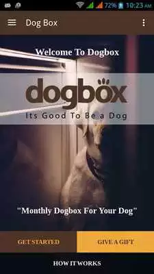 Play Dog Box