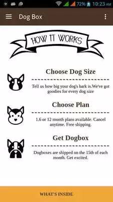 Play Dog Box