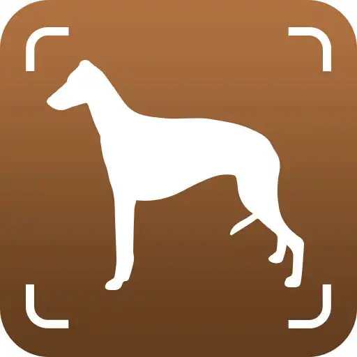Play Dog Bread Identifier: Dog Scanner by photo, camera APK Play Dog Bread Identifier: Dog Scanner by photo, camera APK