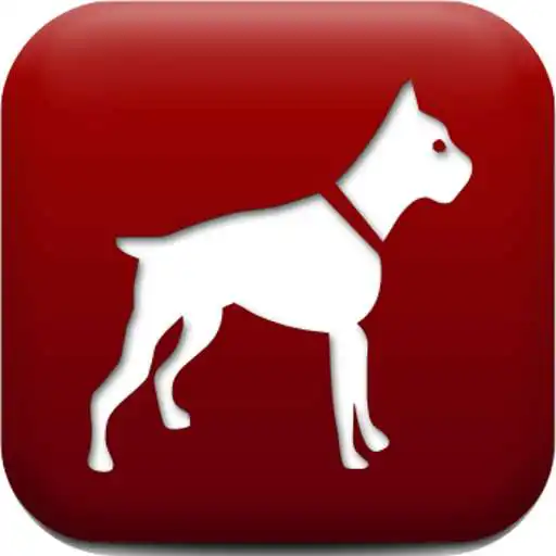 Play Dog Breed Auto Identify Photo APK Play Dog Breed Auto Identify Photo APK