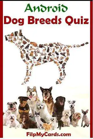 Play APK Dog Breed Picture Quiz  and enjoy Dog Breed Picture Quiz with UptoPlay com.nandroid.quiz.template