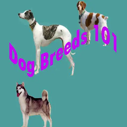 Free play online Dog Breeds 101 APK Free play online Dog Breeds 101 APK