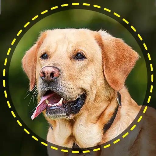 Play Dog Breed Scanner– Dog Breed I APK Play Dog Breed Scanner– Dog Breed I APK