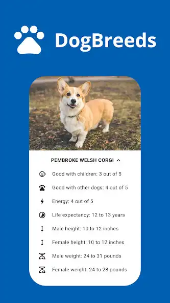 Play DogBreeds - Common dog breeds  and enjoy DogBreeds - Common dog breeds with UptoPlay