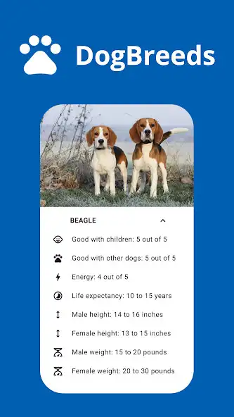 Play DogBreeds - Common dog breeds as an online game DogBreeds - Common dog breeds with UptoPlay